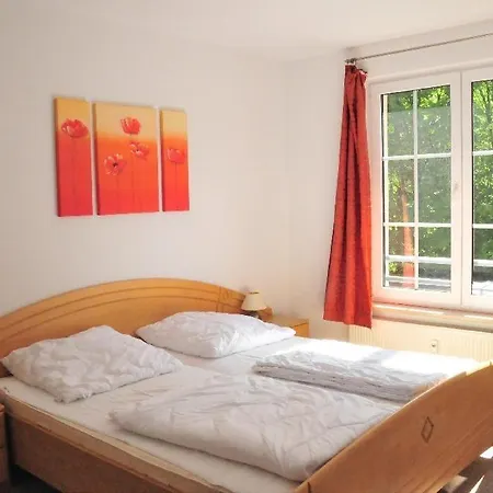 Am Waldrand App 16 - Seeadler *