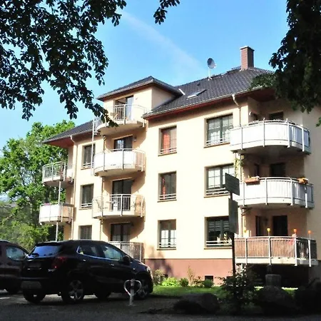 Am Waldrand App 16 - Seeadler